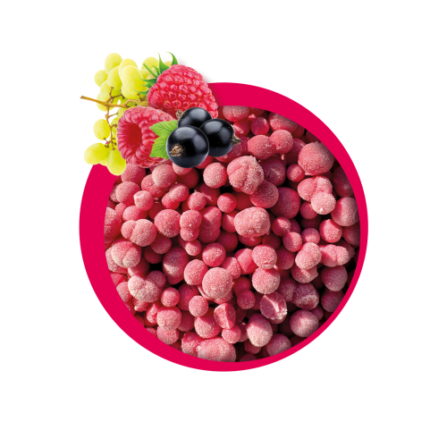 tuttiFrutti.png