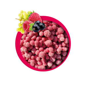 Zmrzlina s příchutí TUTTI FRUTTI 70g